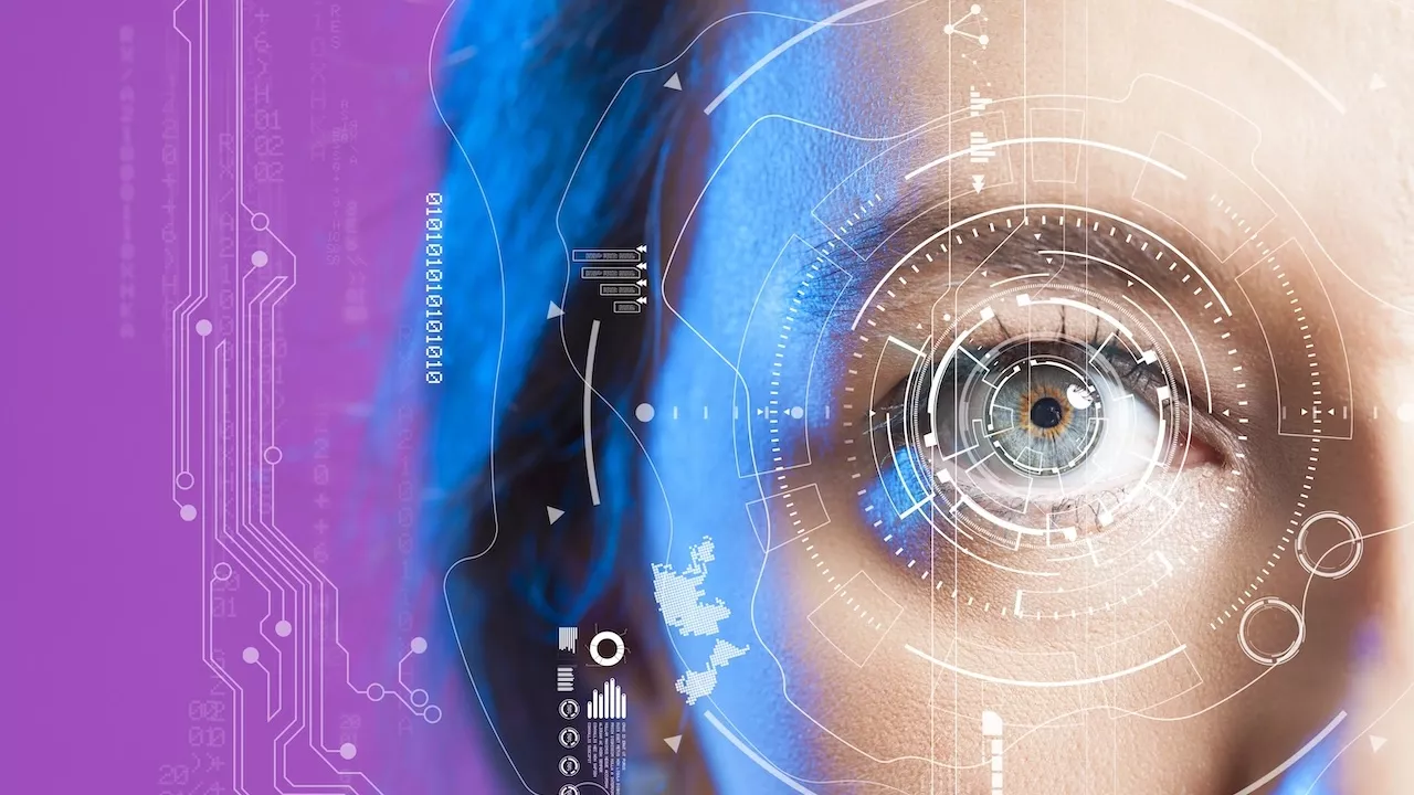 biometric travel