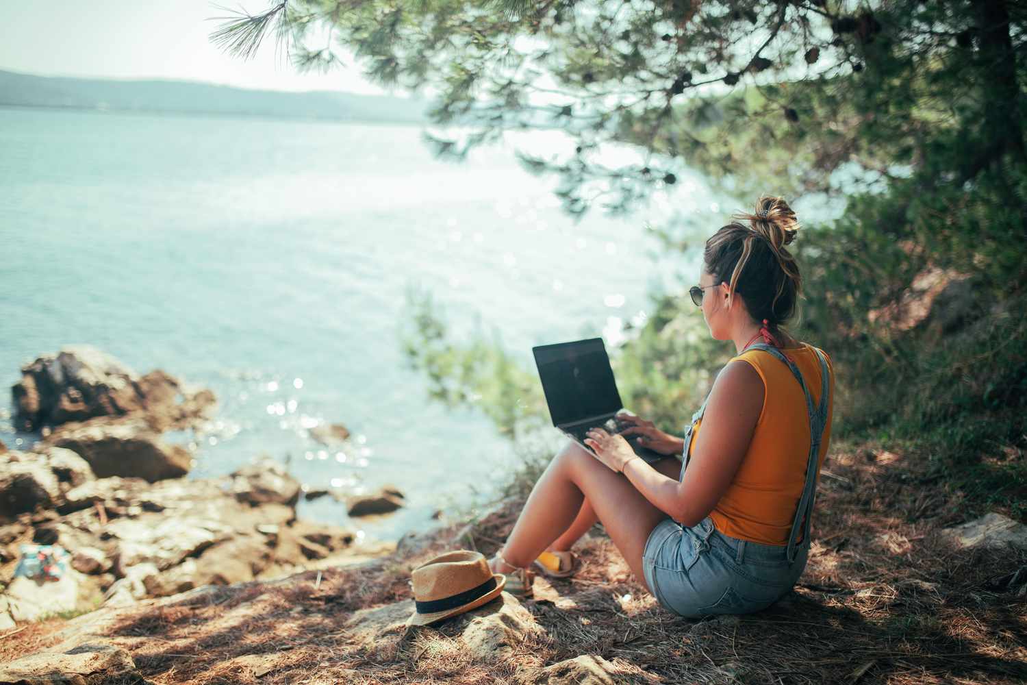 The Traveler's to Digital Nomad Visas